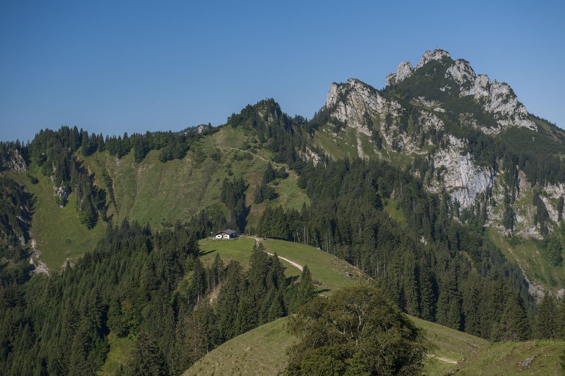 Piesenhausener Hochalm