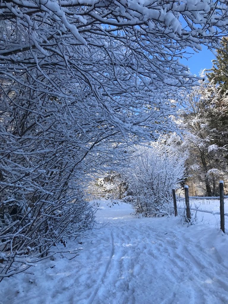 Winterwanderung