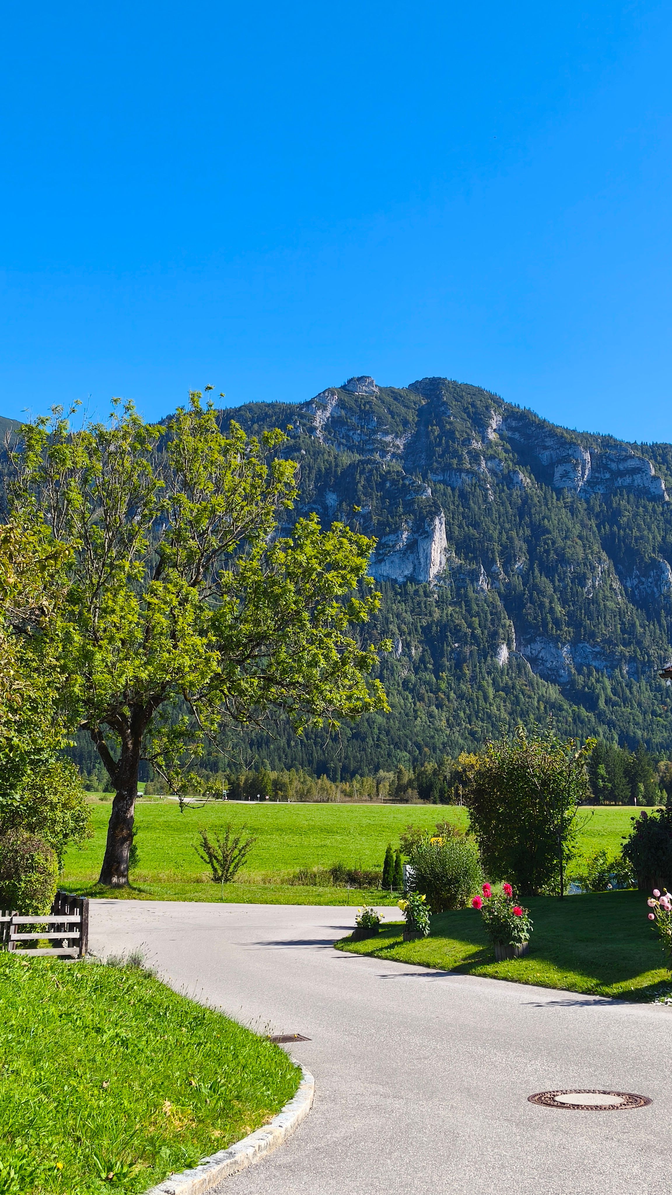 Wiesen- und Bergpanorama von Eck