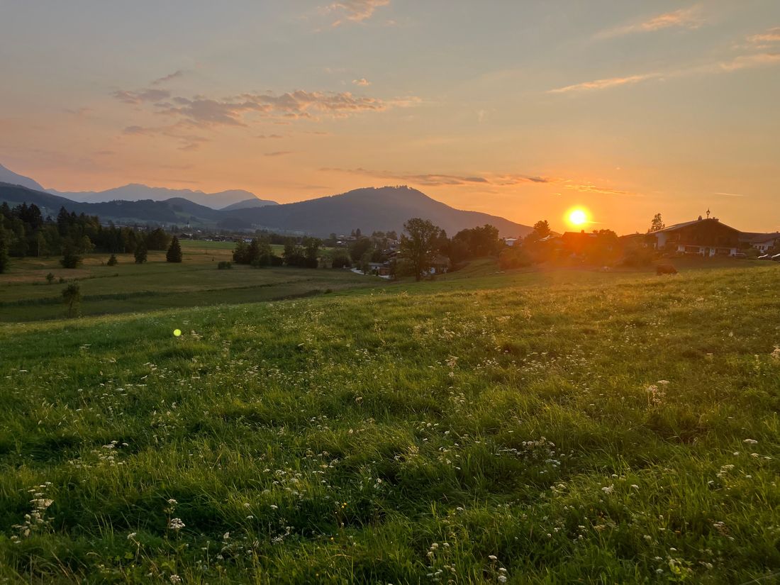 Impressionen