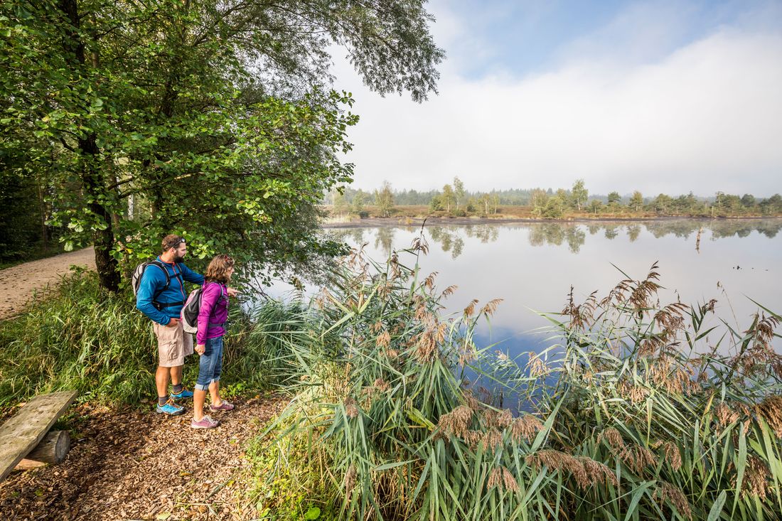 Wandern im Schönramer Filz