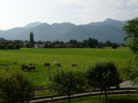 Ausblick