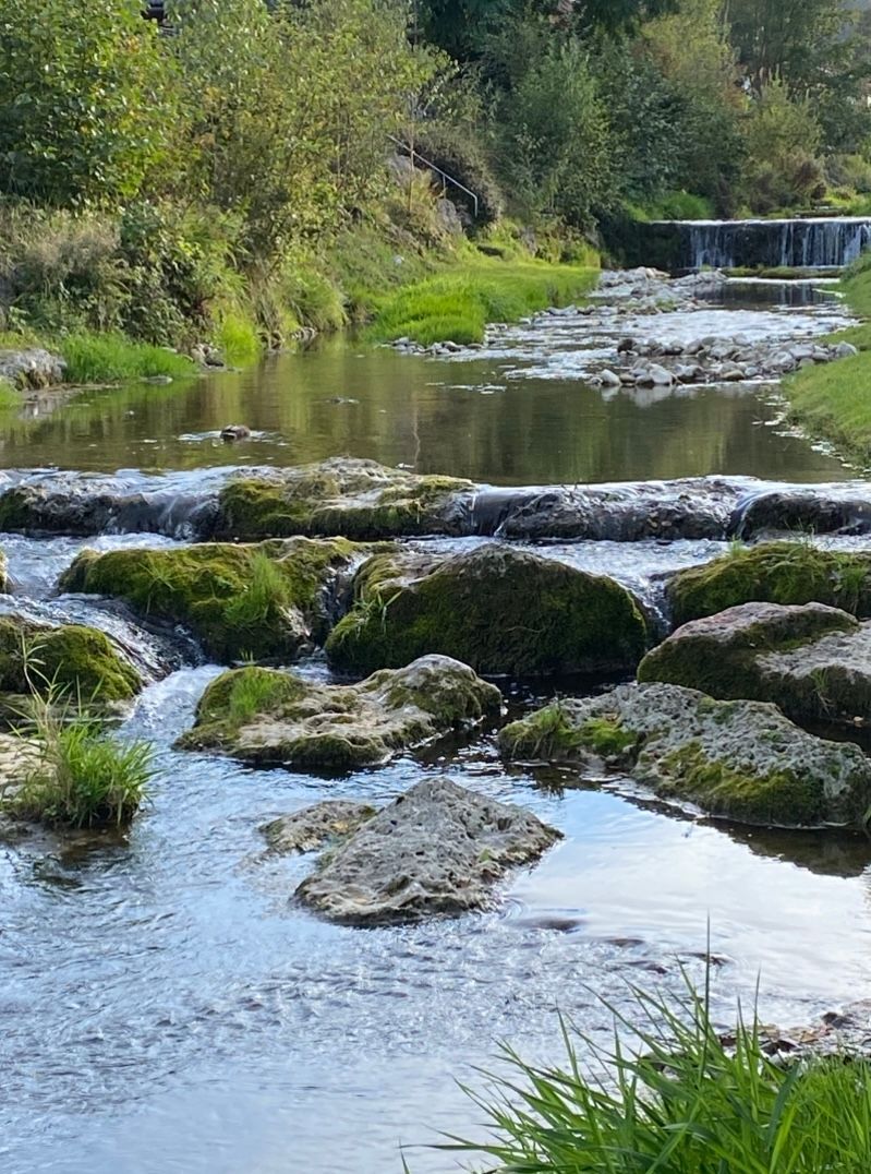 Erfrischung gefällig?