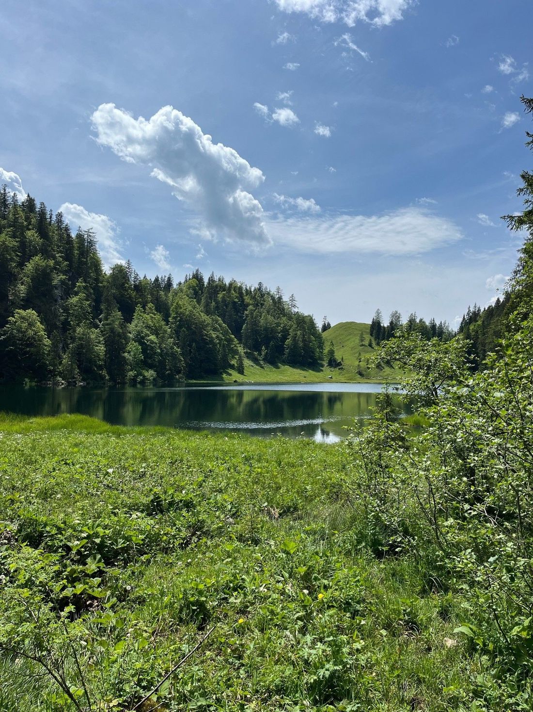 Taubensee