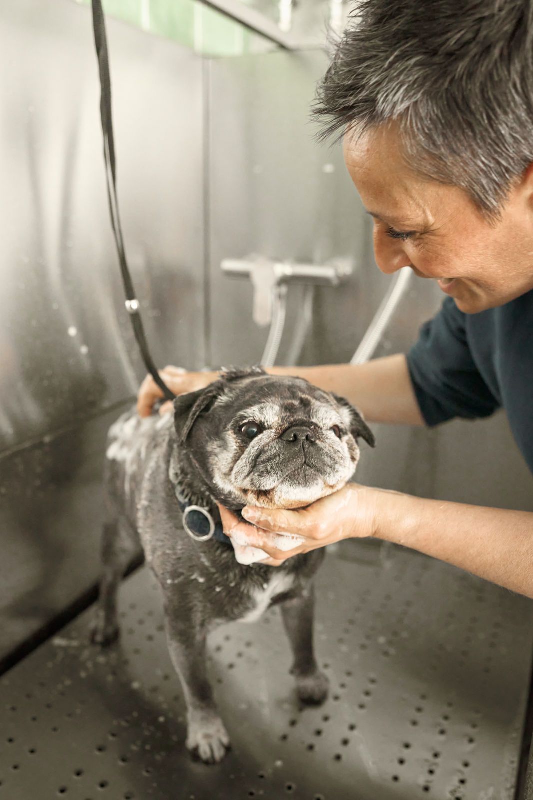 Hugo in der Hundedusche