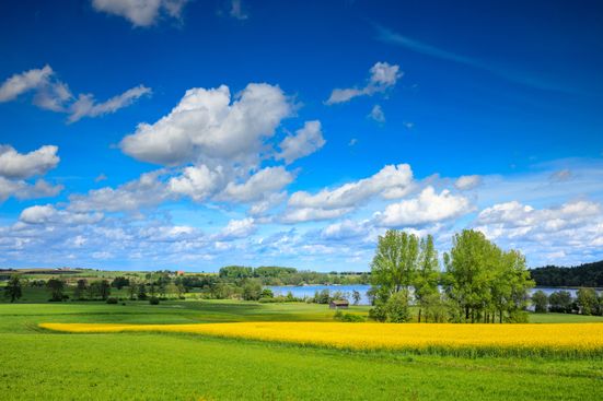 Ausblick St. Coloman in Tengling