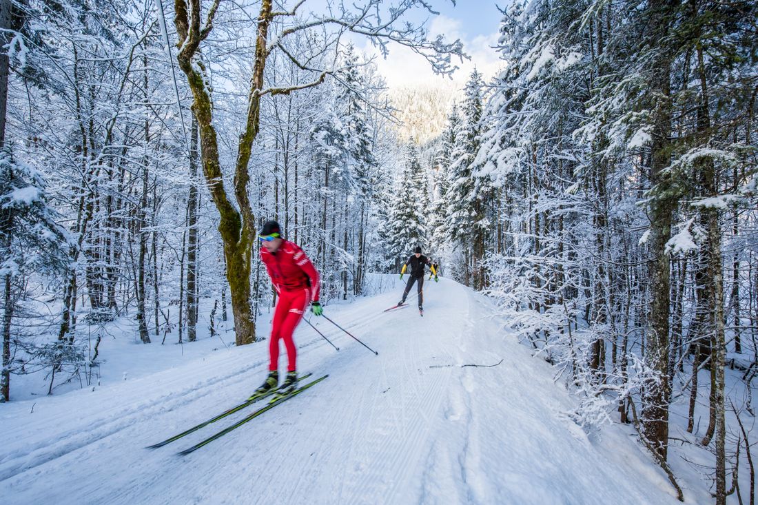Langläufer fahren durch verschneitem Wald