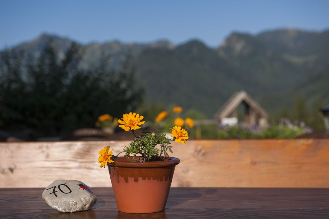 details-weingarten-2