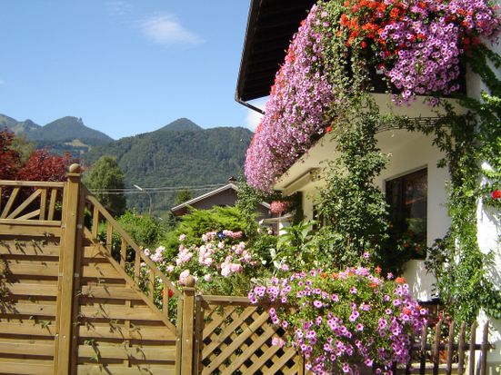 Ferienwohnung Gschöderer - Hausansicht