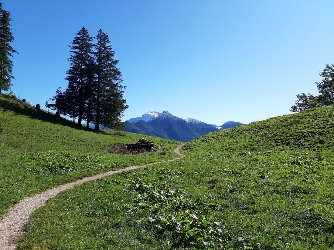 Bergpfad