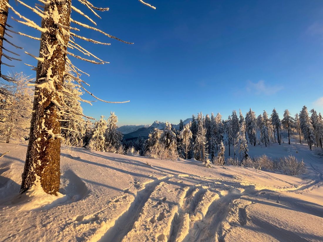 Winter auf der Stoißer Alm