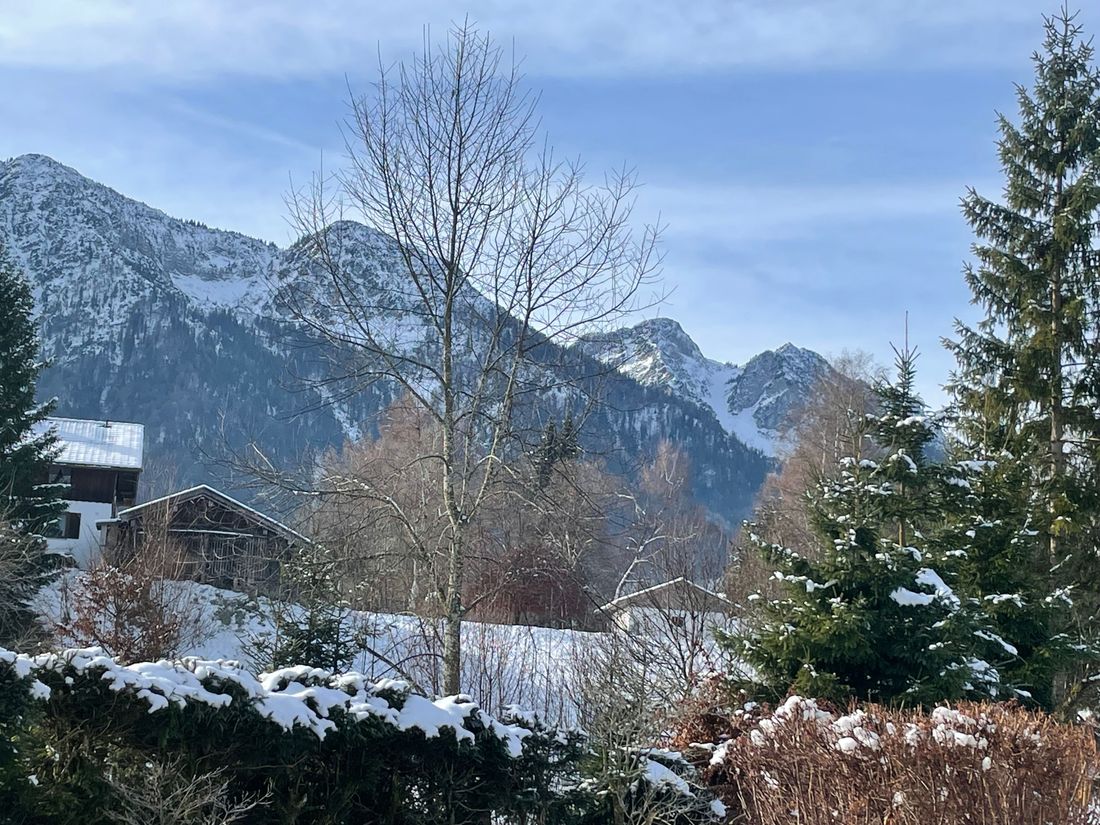 Blick vom Garten /Balkon