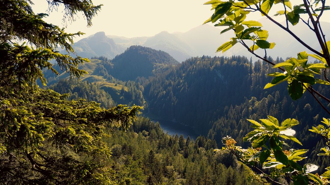 Chiemseeblick Trailrunning