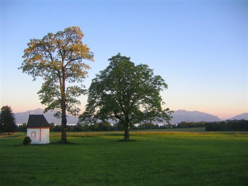 View from the terrace over the extensive meadows to Lake Chiemsee and the Alps