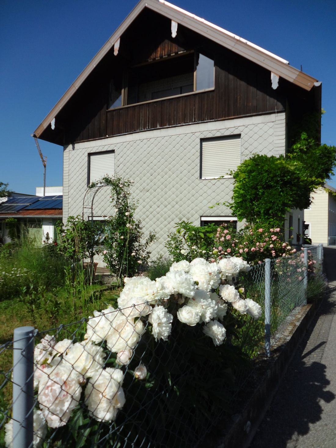 Sommer im Garten