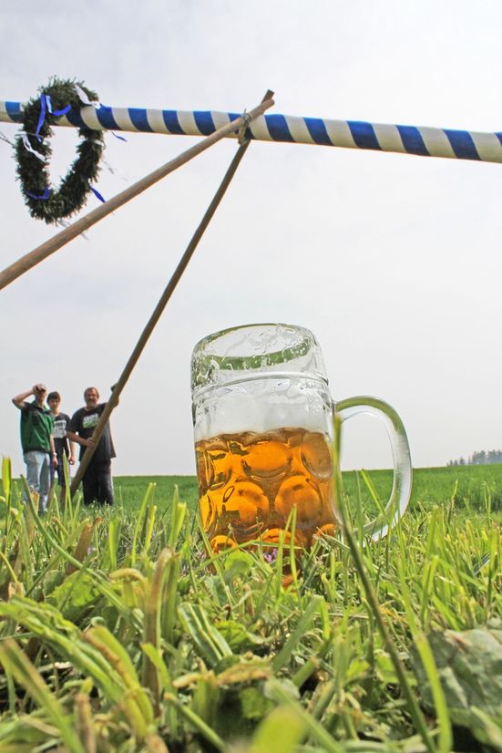 Maibaum mit bier