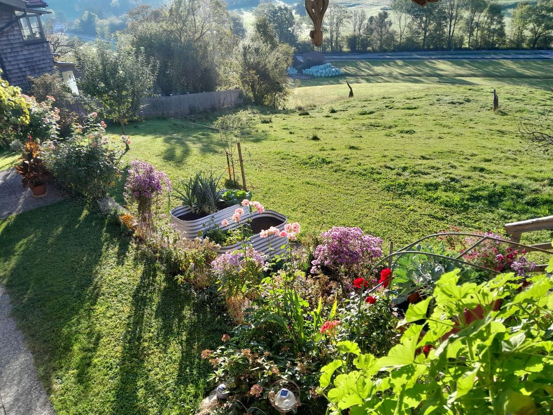 Blick in den Garten